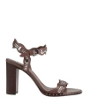 Ash Karma In Moro In Brown
