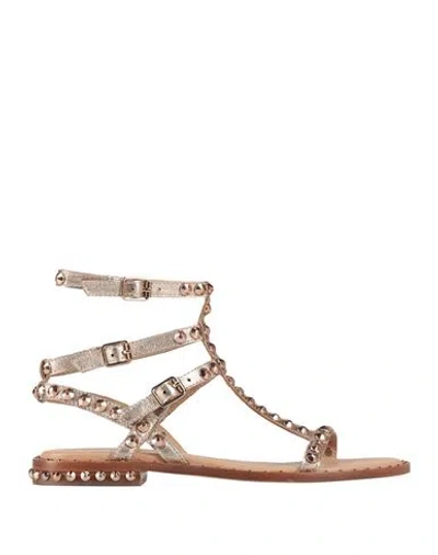 Ash Woman Sandals Gold Size 8 Leather
