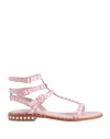 Ash Play Bis Pink Flat Sandal In Pink