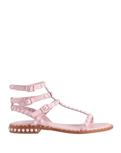 Ash Play Bis Pink Flat Sandal