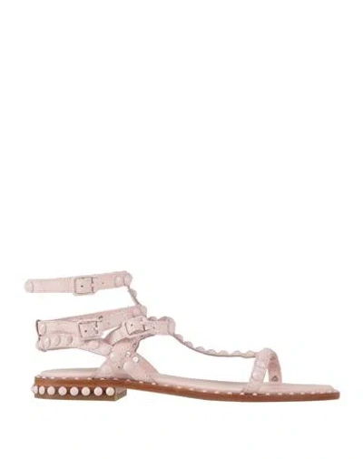 ASH ASH WOMAN SANDALS LIGHT PINK SIZE 8 LEATHER
