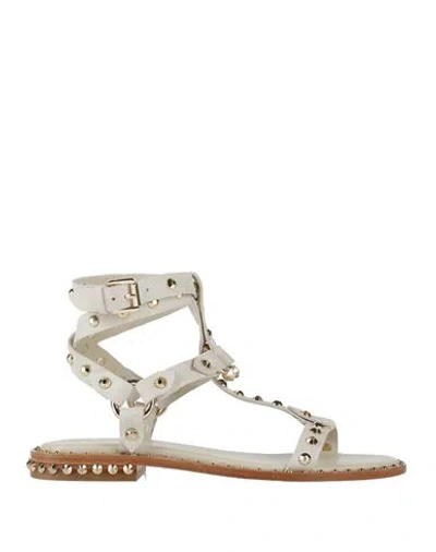 ASH ASH WOMAN SANDALS OFF WHITE SIZE 8 LEATHER