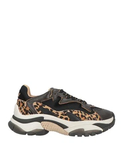 Ash Woman Sneakers Black Size 8 Leather