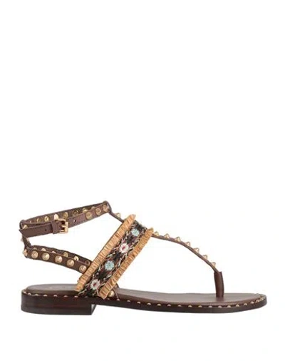 Ash Woman Thong Sandal Dark Brown Size 8 Soft Leather, Textile Fibers In Black