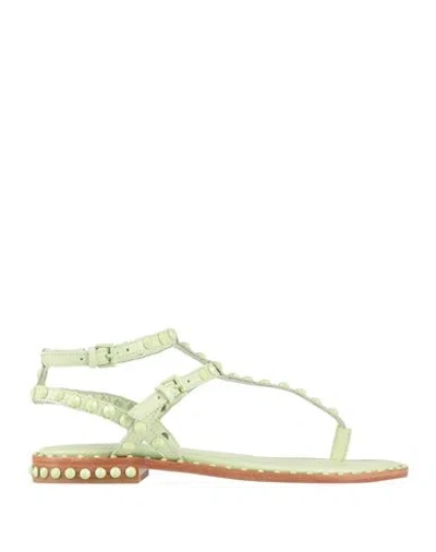 Ash Woman Thong Sandal Light Green Size 8 Leather