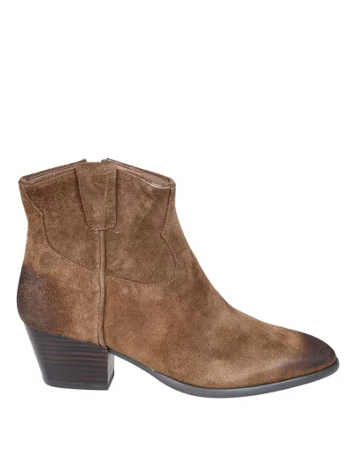 Ash Women's Ankle Boots In Brown