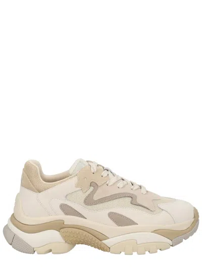 Ash Women's Chunky Mesh-panel Lace-up Sneakers In Animal Print
