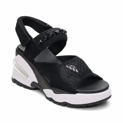 ASH WOMEN'S DIVA WEDGE SANDAL IN BLACK