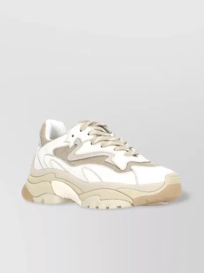 Ash Women's High Sole Sneakers