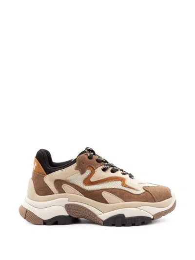 Ash Women's Mesh & Suede Lace-up Sneaker With Rubber Sole In Marrone