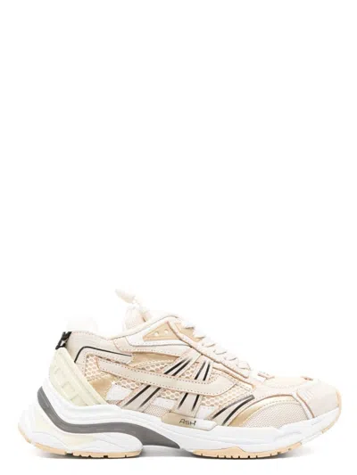 Ash Women's Race Sneakers In Interceptor Beige/wht/gold