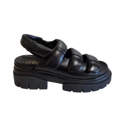 Ash Women's Sun Sandal In Black