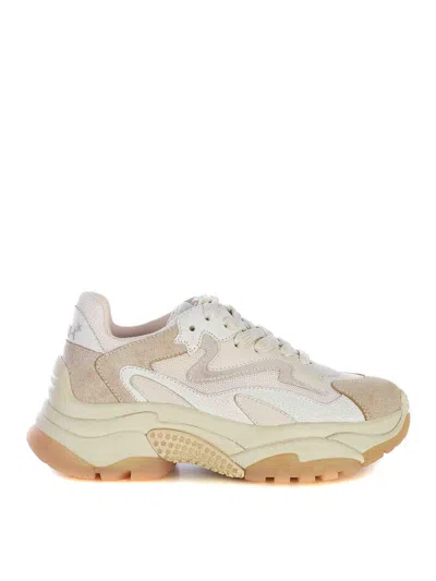 Ash Calfskin Sneakers In White