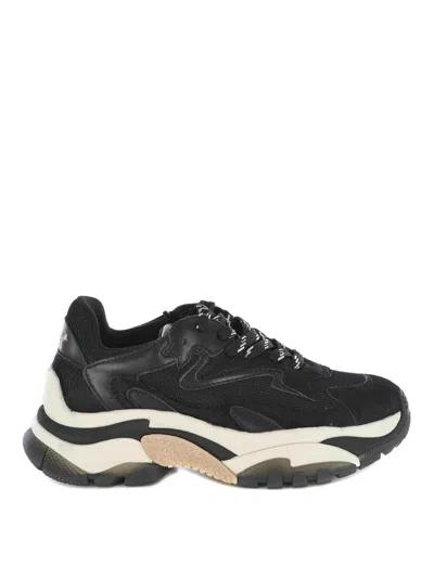 Ash Sneakers  In Leathert