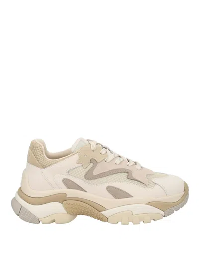 ASH ZAPATILLAS - BEIS