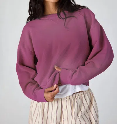 Asher Cameron Pullover In Berry In Purple