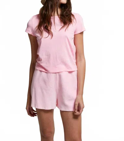 Asher Noe Baby Short Sleeve Tee In Pink