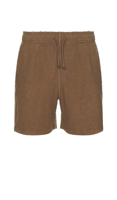 Asher Salomon Short In Brown