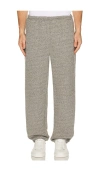 Asher Sebi Sweatpant In Gray