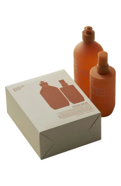 Ashley & Co Pawsome Grooming Kit In Orange