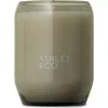 Ashley & Co Waxed Perfume Scented Candle In Green