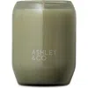Ashley & Co Waxed Perfume Scented Candle In Green