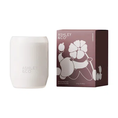 Ashley & Co White / Purple Waxed Perfume Scented Candle In Burgundy