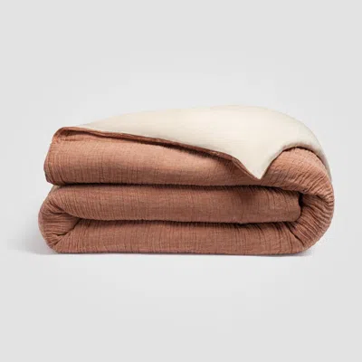 Ashley Crane Home Dune 1 Piece King Sheet In Brown