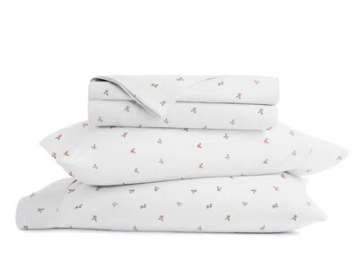 Ashley Ienjoy Home Floral 4 Piece Twin Xl Sheet Set In Pink