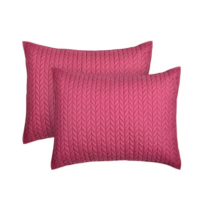 Ashley J. Queen Bold Cayman King Quilted Sham In Pink