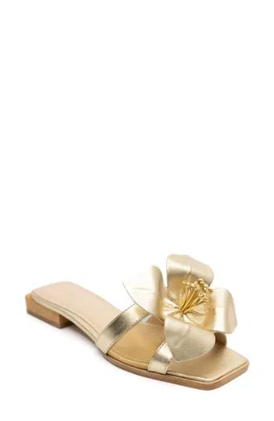 Ashley Kahen Blossom Slide Sandal In Gold