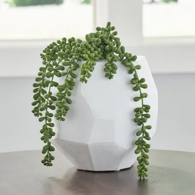 Ashley Karenton Vase In White