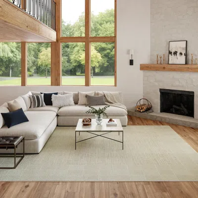 Ashley Nourison Home Nordic Solid 8' X 10' Area Rug In White