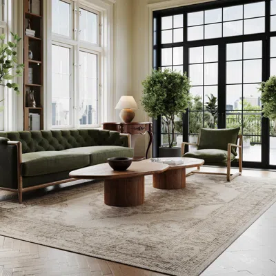 Ashley Padma Lakshmi X Rugs Usa Istanbul 4' 6' Area Rug In Neutral
