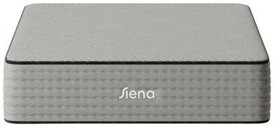 Ashley Siena Signature Hybrid 14 Inch Twin Xl Mattress And Pillow In Gray