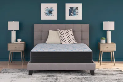 Ashley Sleep Gruve Firm Twin Mattress In Multi