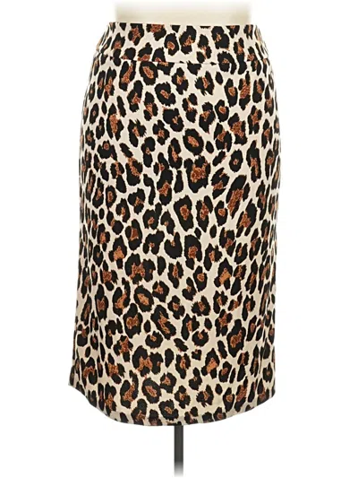 Pre-owned Ashley Stewart Casual Skirt In Brown