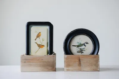 Ashley Storied Home Floating Bird Art Wall Decor (set Of 6) In Multi