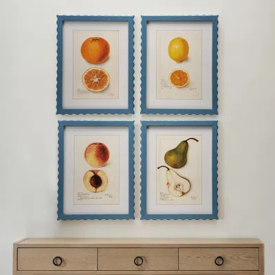 Ashley Storied Home Fruit Wall Art 16" X 21" (set Of 4) In Multi