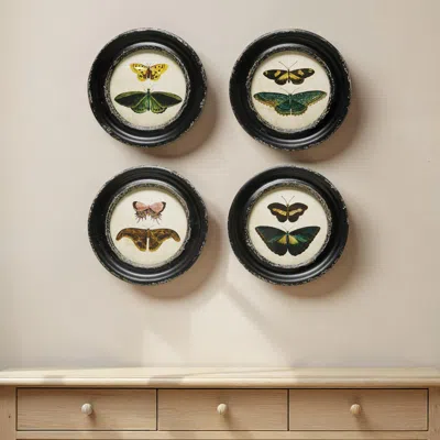 Ashley Storied Home Moth And Butterfly Wall Decor (set Of 4) In Black