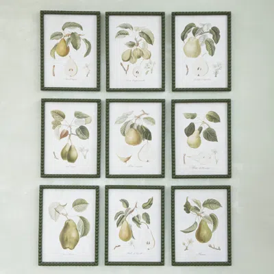Ashley Storied Home Orchard Pear Print Collection Wall Decor (set Of 9) In Multi