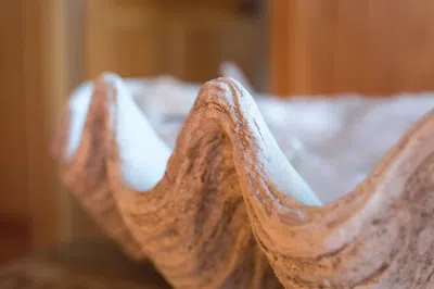 Ashley Storied Home Seashell Decoration In White
