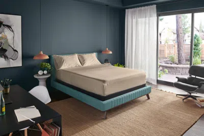 Ashley Tempur-classic Cotton King Sheet Set In Brown