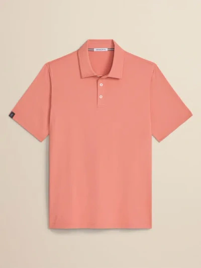 Ashworth Golf Encinitas Polo In Brown