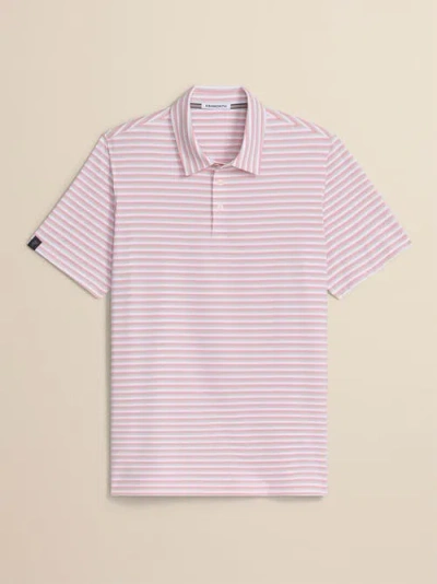 Ashworth Golf Ivy Stripe Polo In Pink