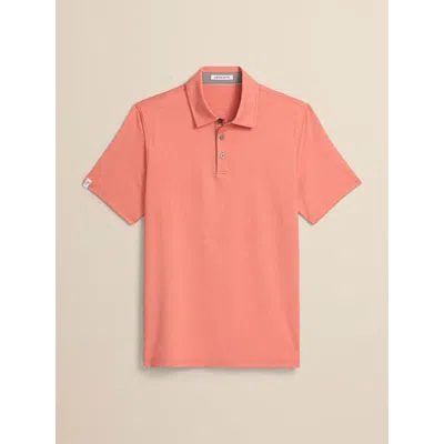 Ashworth Golf La Jolla Polo In Pink