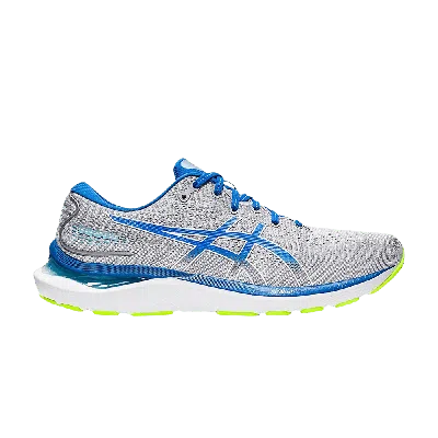 Pre-owned Asics Gel Cumulus 24 'sheet Rock Lake Drive' In Grey