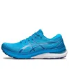Asics Gel-kayano 29 2e 'island Blue'