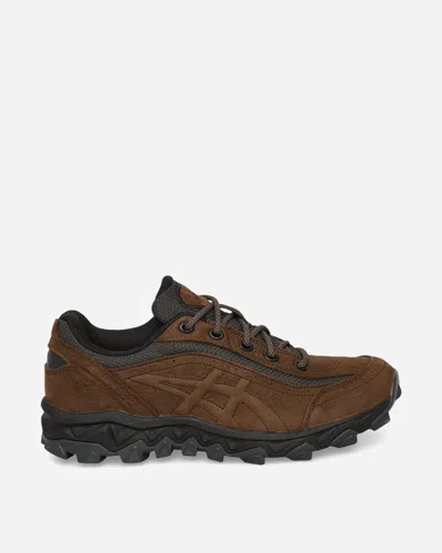 Asics Gel-transcend Fj Sneakers In Brown