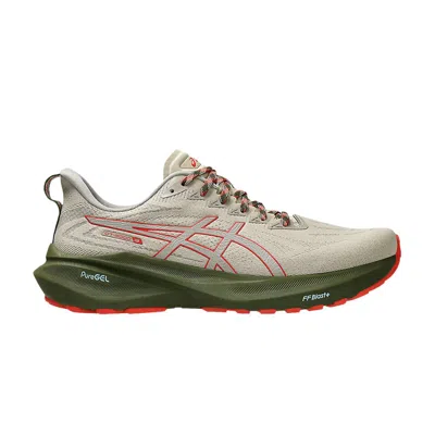 Pre-owned Asics Gt 2000 13 Tr 'nature Bathing - Red Snapper' In Grey